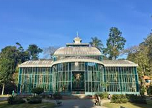 Petrópolis + Bohemia